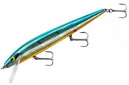 Smithwick Perfect 10 Rogue 5.5" Chrome Blue/Orange Belly