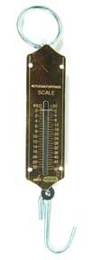 Eagle Claw Tool Spring Scale 50lb