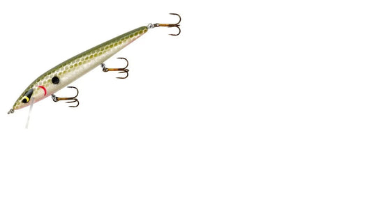 Smithwick Menendez Rattlin Rogue 4.5" Avacado Shad