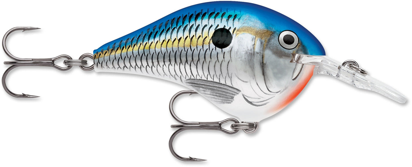 Rapala DT Series 6' 3/8 2" Blue Shad