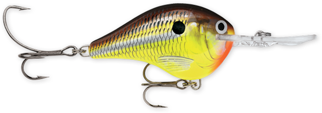 Rapala DT Series 6' 3/8 2" Hot Mustard