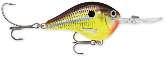 Rapala DT Series 6' 3/8 2" Hot Mustard