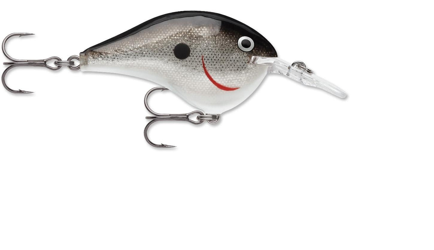 Rapala DT Series 6' 3/8 2" Silver