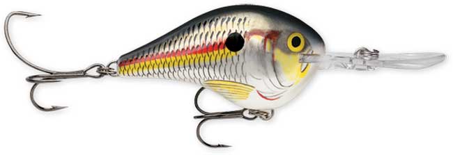 Rapala DT Series 6' 3/8 2" Shad