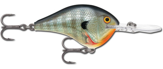 Rapala DT Series 3/4 Blue Gill