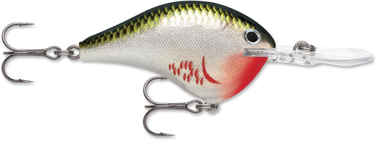 Rapala DT Series 3/4 Bleeding Olive Shiner - Lear Outdoors