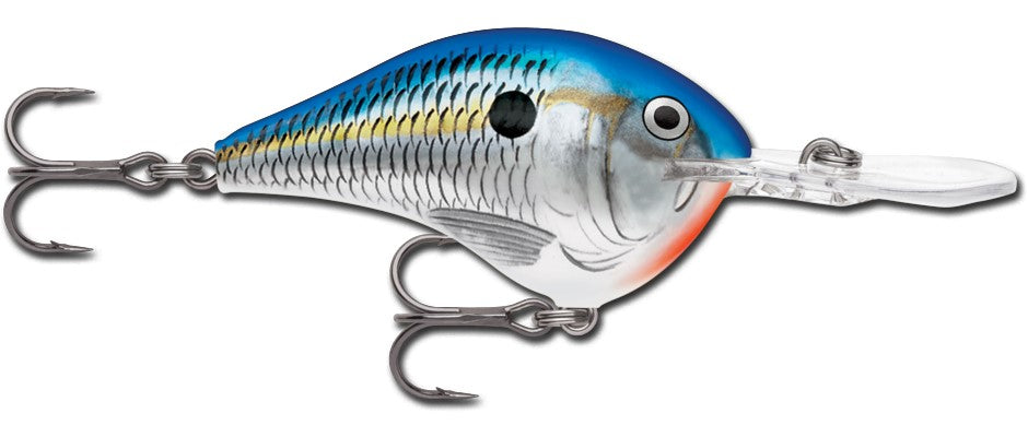 Rapala DT Series 3/4 Blue Shad