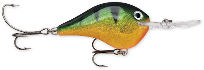 Rapala DT Series 3/4 Perch