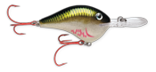 Rapala DT 20' Series Bleeding Olive Shiner