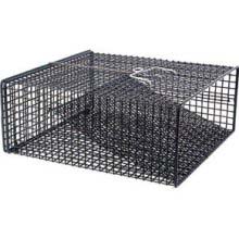 Frabill Crawfish Trap-Flat Bottom