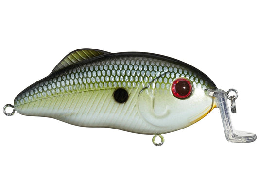 Strike King Hybrid Hunter Jr Shallow 7/16oz 3in Muh Knee Shad - Lear Outdoors