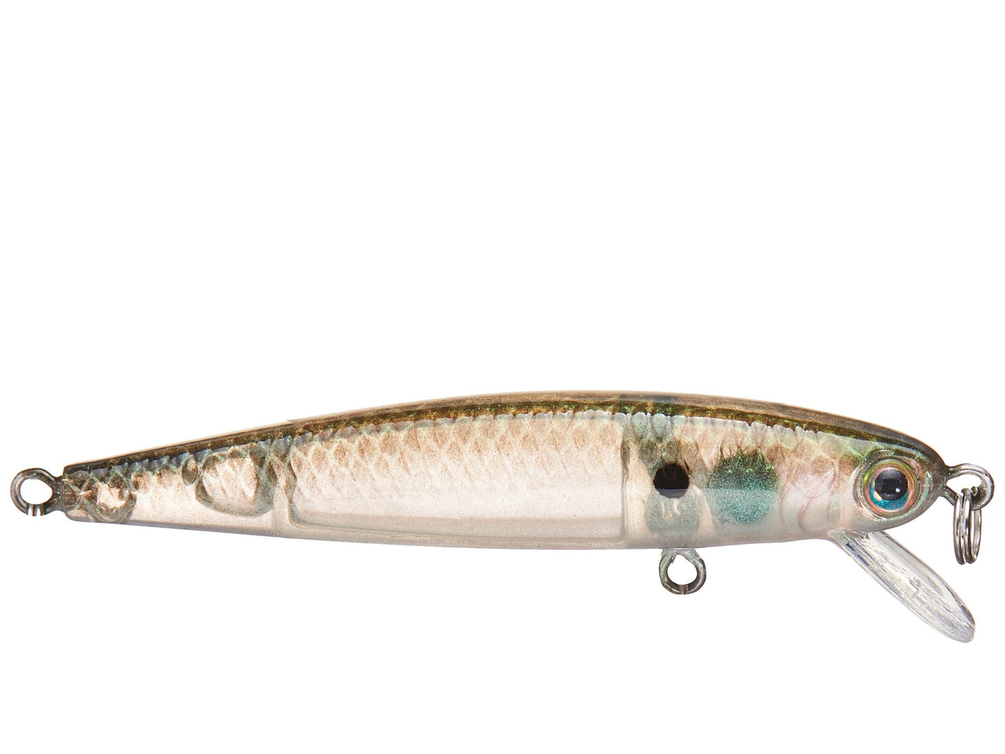 Strike King Bitsy Jerkbait 1/16oz Green Gizzard - Lear Outdoors