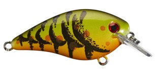 Strike King KVD Square Bill 7/16oz Green Pmpkin - Lear Outdoors