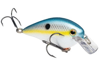 Strike King KVD Square Bill 7/16oz Sexy Shad - Lear Outdoors