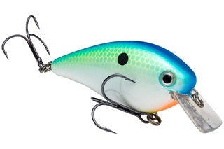 Strike King KVD Square Bill 5/8oz Citrus Shad - Lear Outdoors