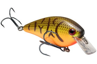 Strike King KVD Square Bill 5/8oz Orange Belly Craw - Lear Outdoors