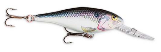 Rapala Shad Rap 2 3/4" 1/4 Shad