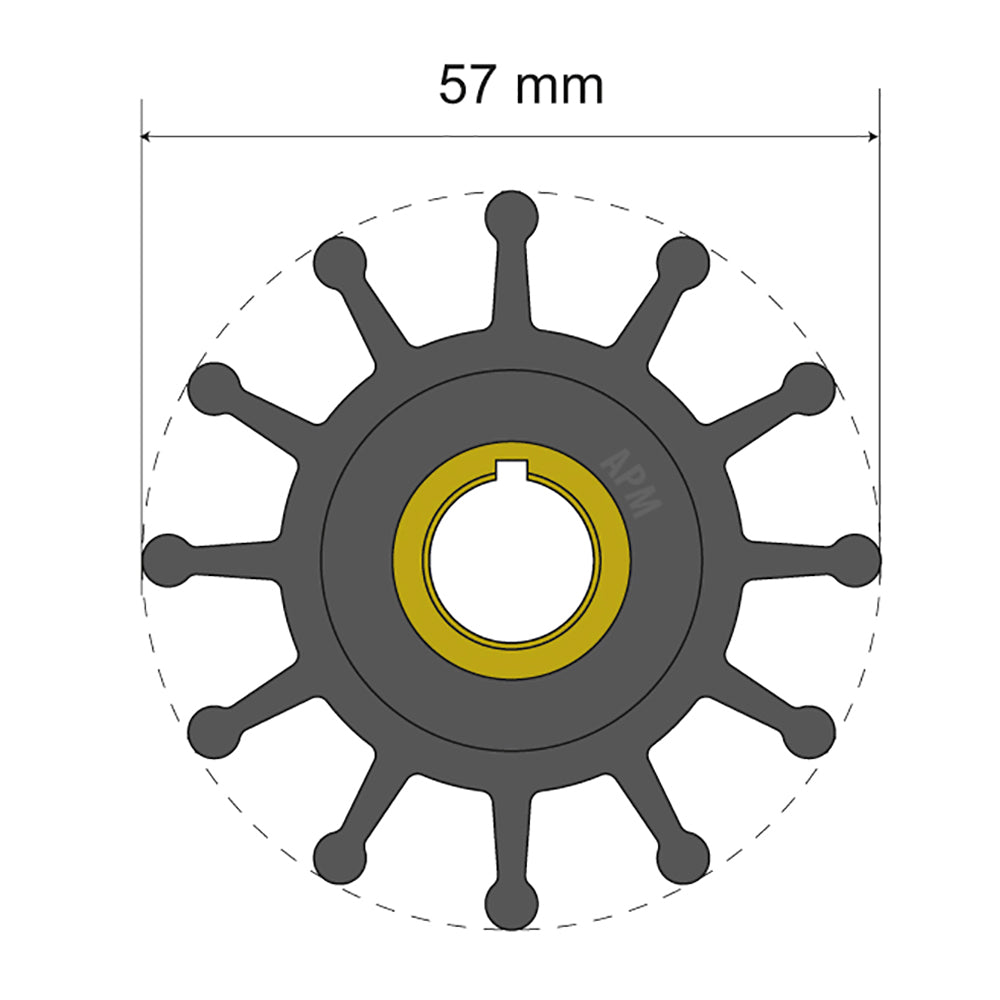 Albin Group Premium Impeller Kit 57 x 12.7 x 20mm - 12 Blade - Key Insert - Lear Outdoors