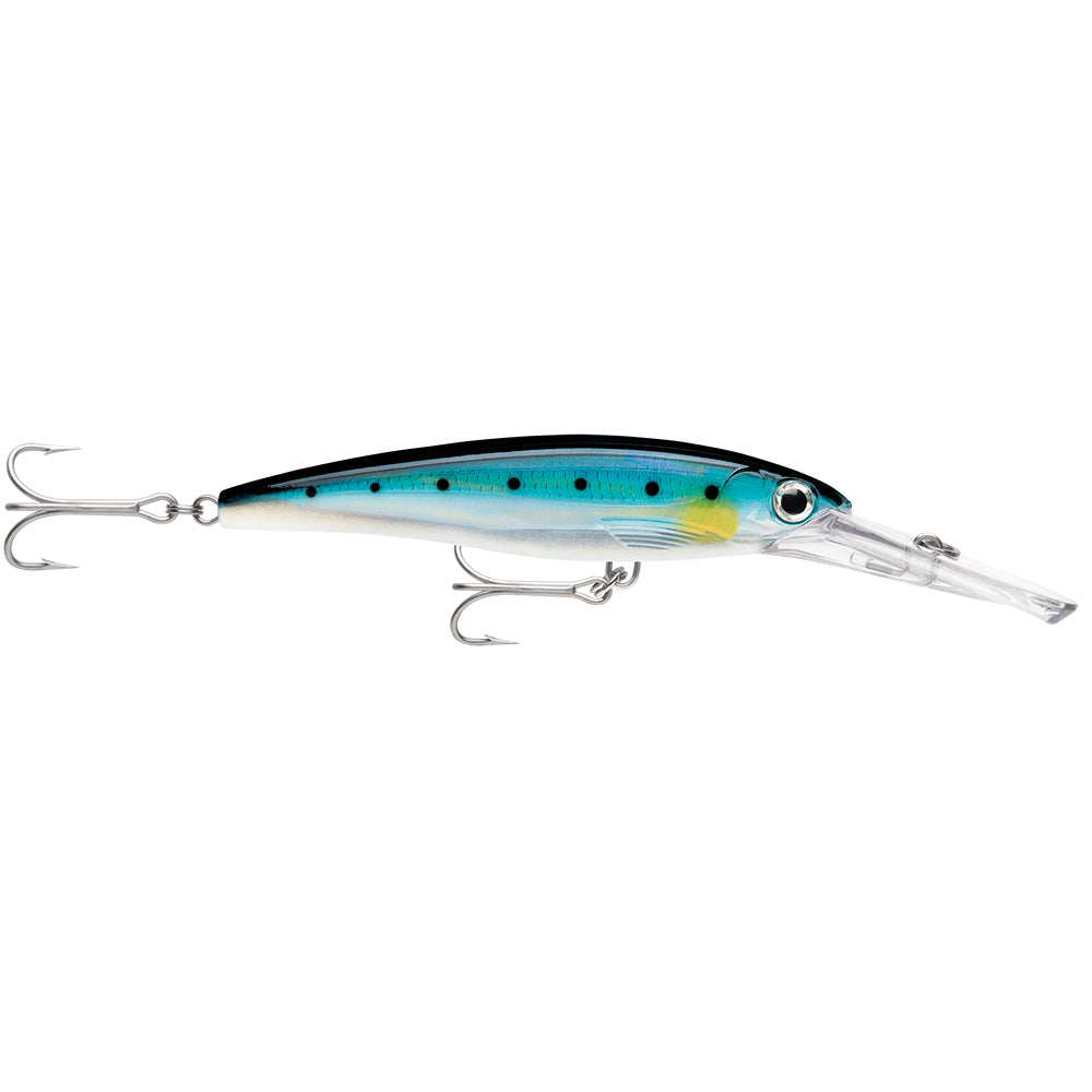 Rapala X-Rap® Magnum® 15 Blue Sardine - Lear Outdoors