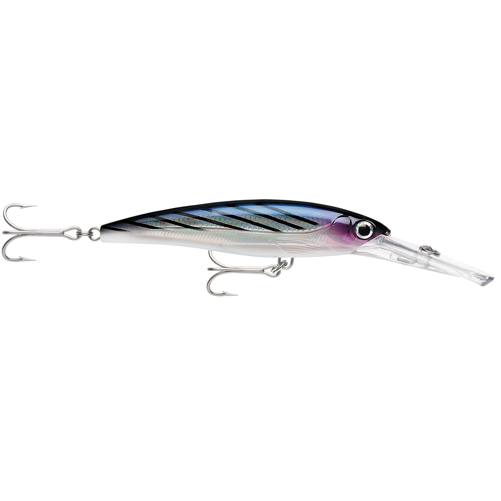 Rapala X-Rap® Magnum® 15 Bonito - Lear Outdoors