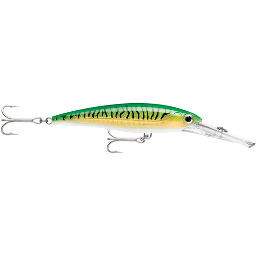 Rapala X-Rap® Magnum® 15 Gold Green Mackerel - Lear Outdoors