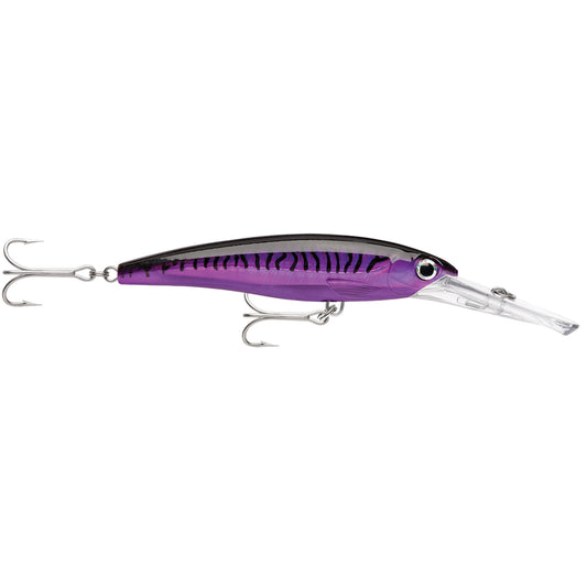 Rapala X-Rap® Magnum® 15 Purple Mackerel - Lear Outdoors