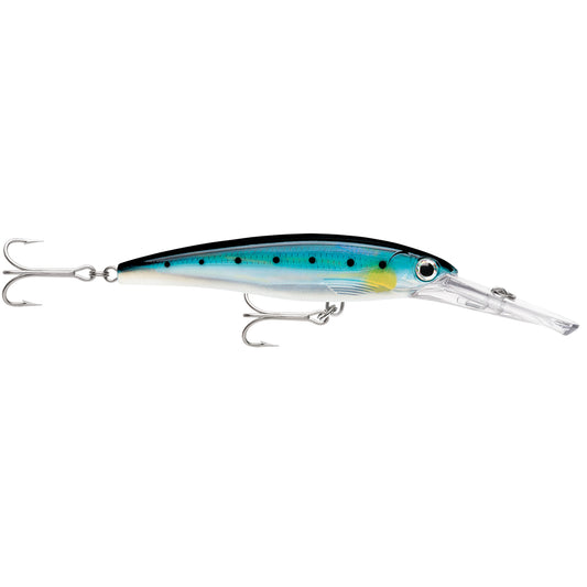 Rapala X-Rap® Magnum® 20 Sardine - Lear Outdoors